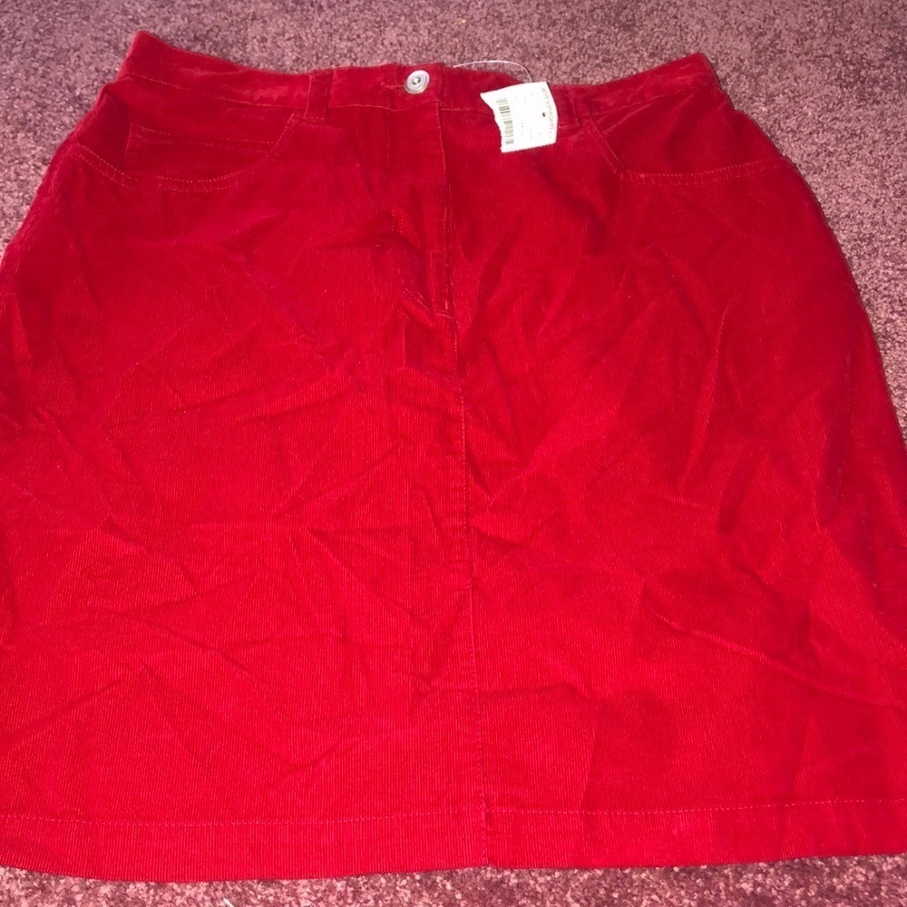 NWT Casual Corner Skirt
